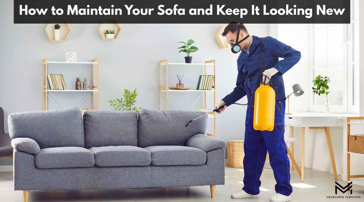 How to Maintain Your Sofa and Keep It Looking New