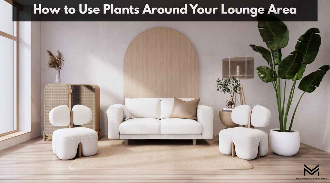 How to Use Plants Around Your Lounge Area
