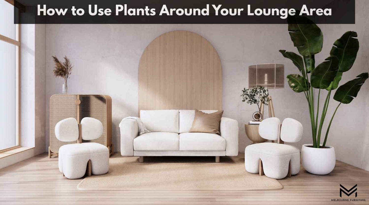 How to Use Plants Around Your Lounge Area