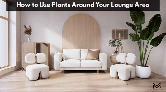 How to Use Plants Around Your Lounge Area