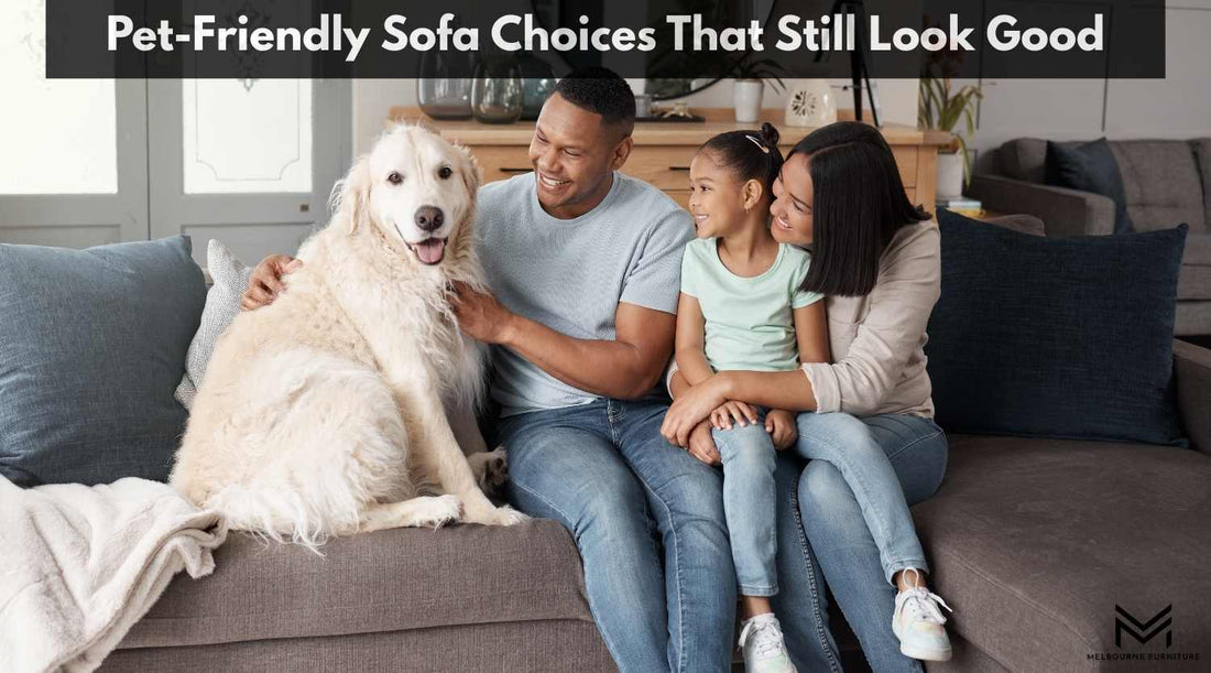 Pet-Friendly Sofa Choices That Still Look Good