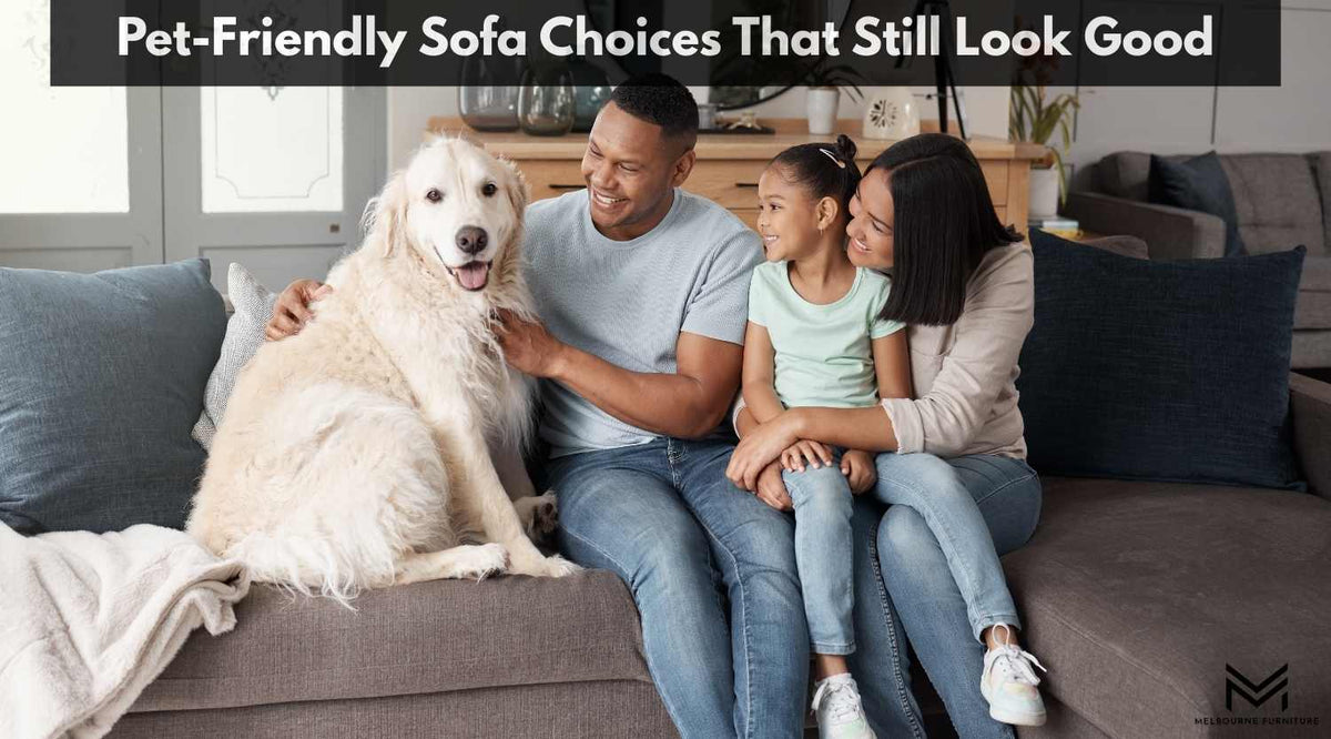 Pet-Friendly Sofa Choices That Still Look Good