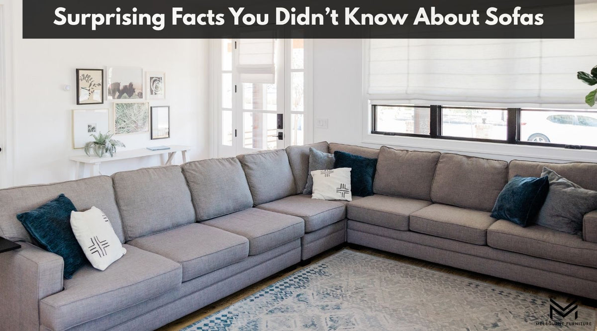 Surprising Facts You Didn’t Know About Sofas